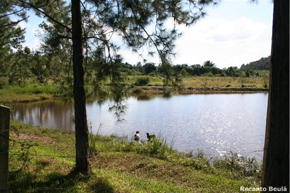 Vista do lago