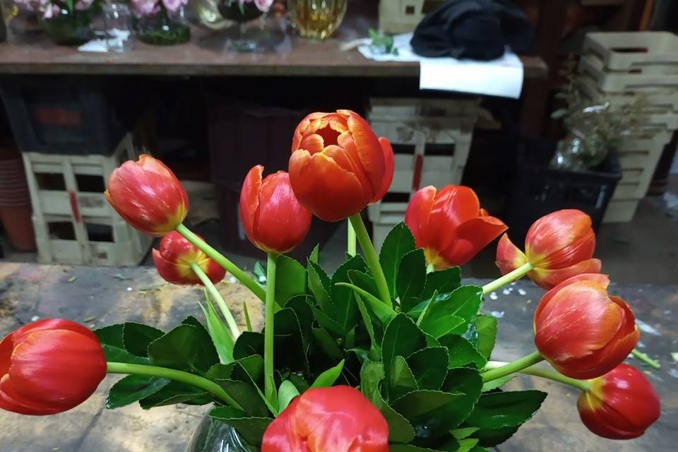 Arranjo de tulipa