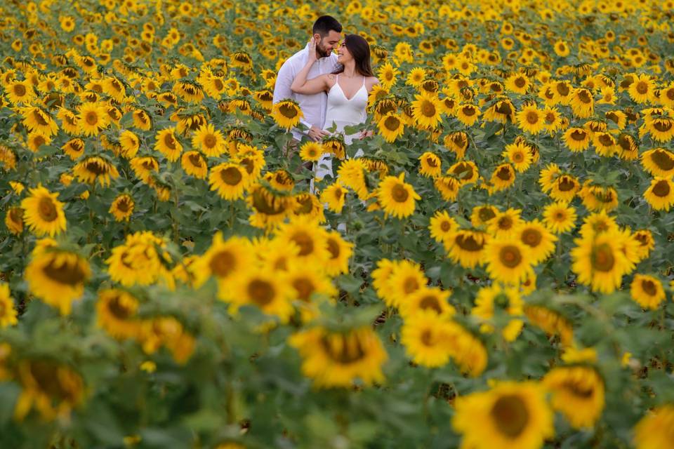 Alex & Thaís Fotografia