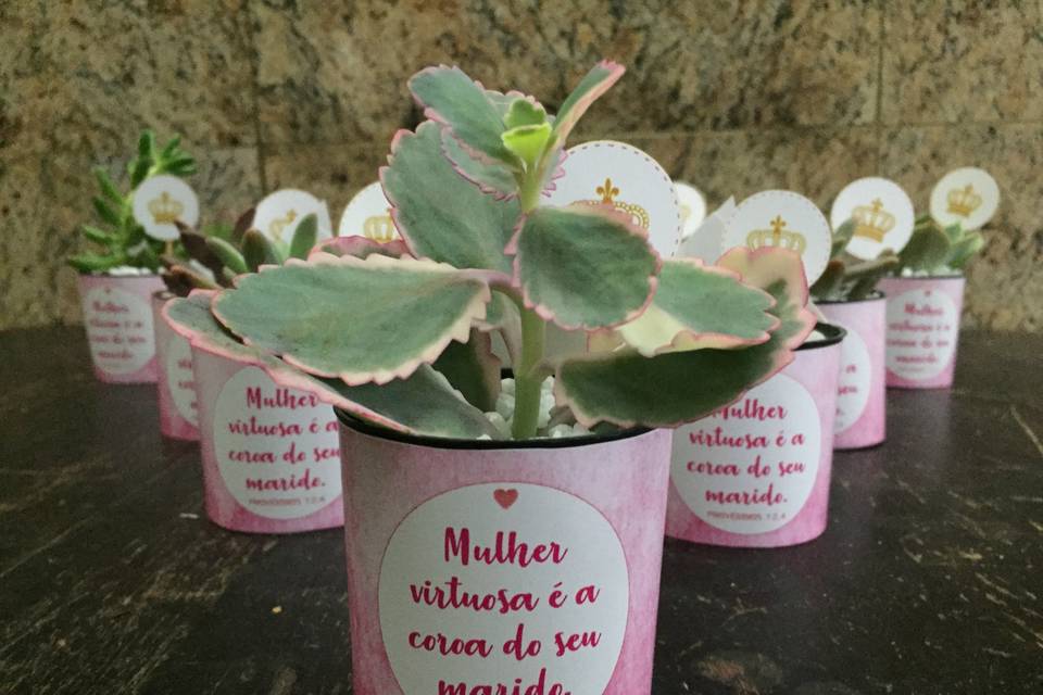 Suculentas personalizadas