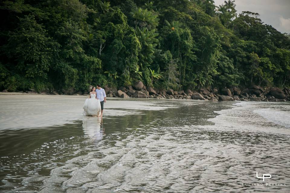 Trash the Dress