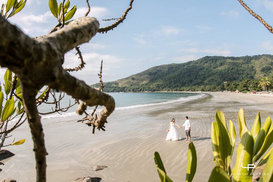 Trash the Dress