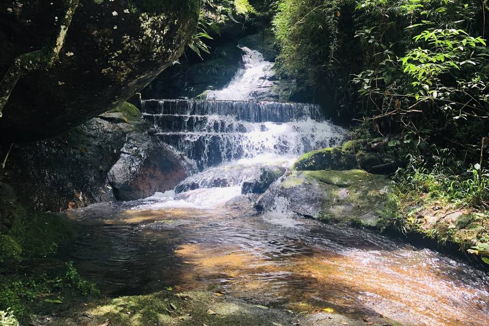 Beleza natural
