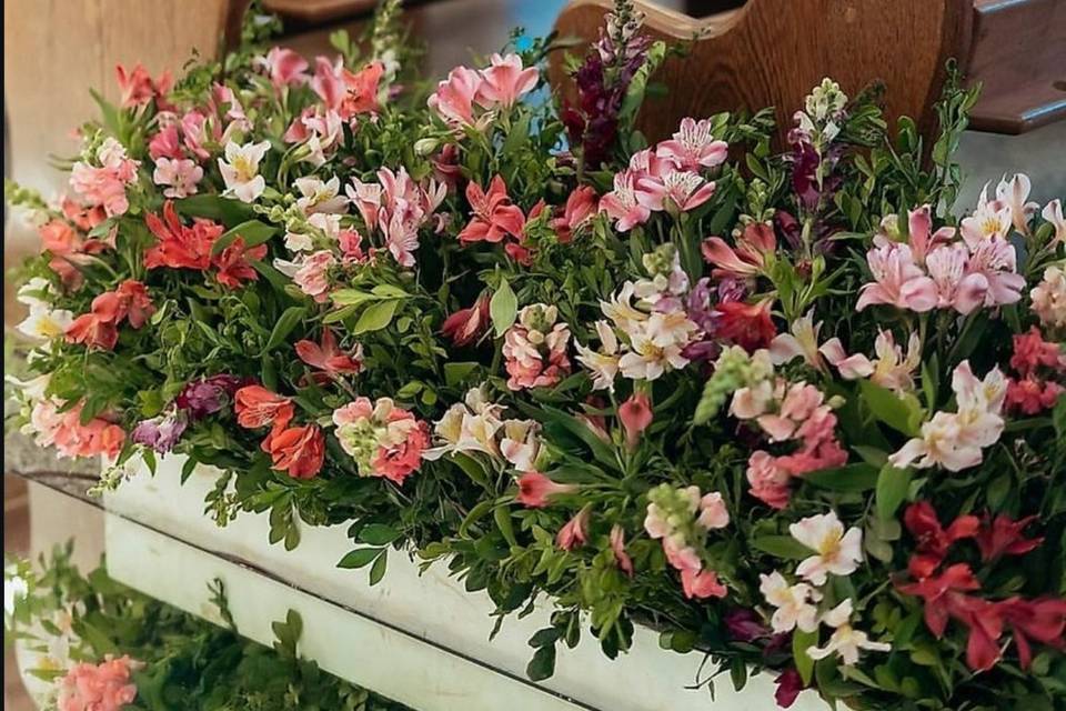 Flores