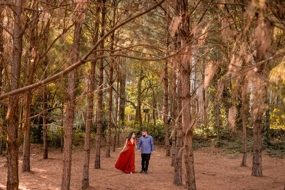 Aline e Marcos