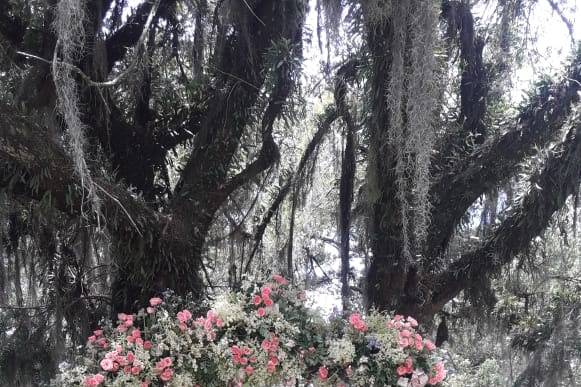 Arco de flores