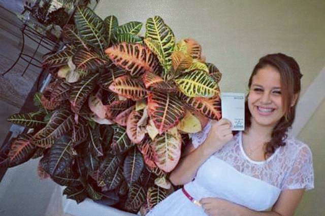 Decorações especiais