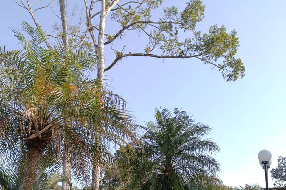 Área da Piscina