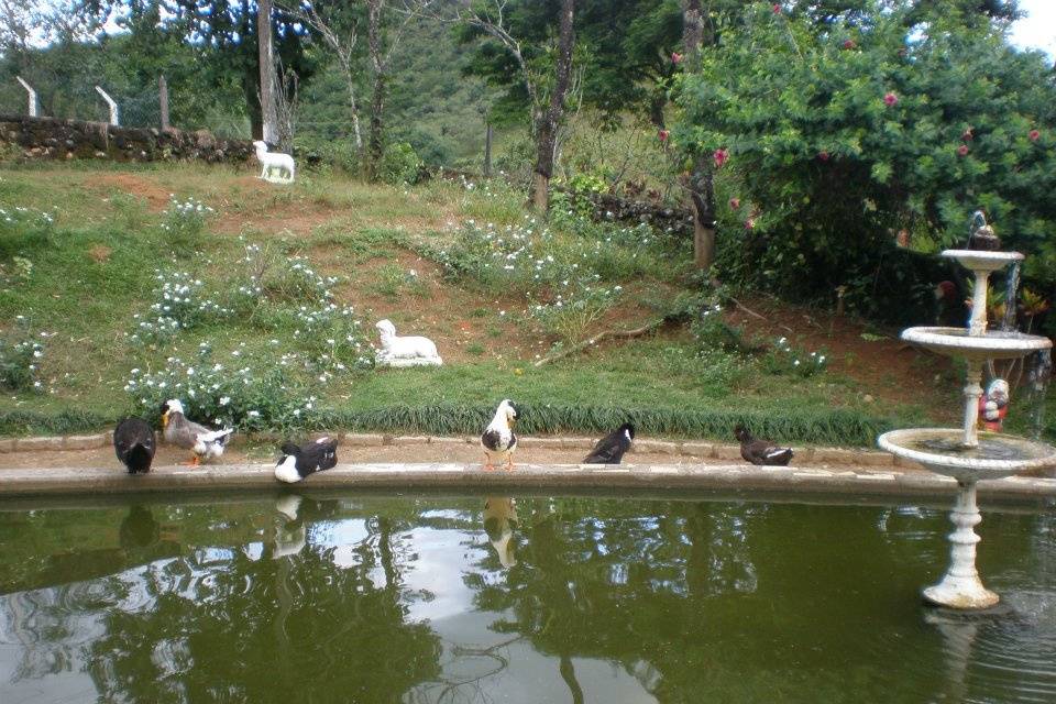 Hotel Fazenda Santo Amaro