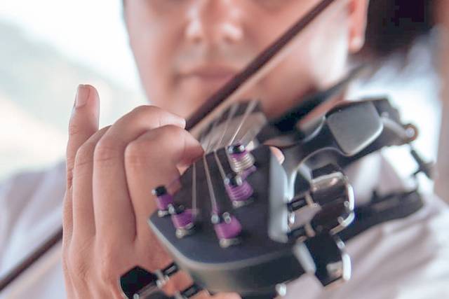 O violino preto