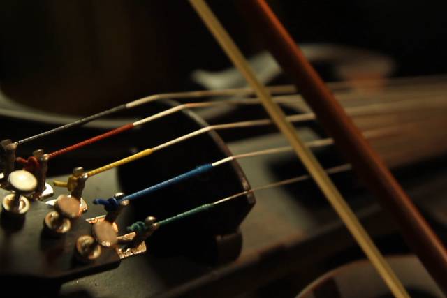 Nathan Fer Violinista