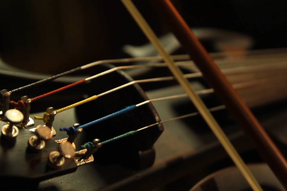 Nathan Fer Violinista