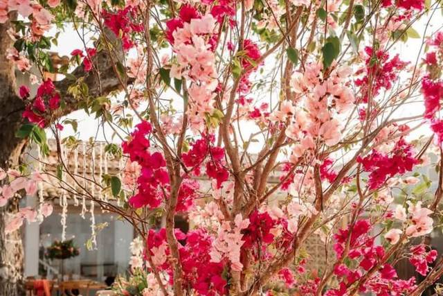 Marcelo Tavares Designer Floral