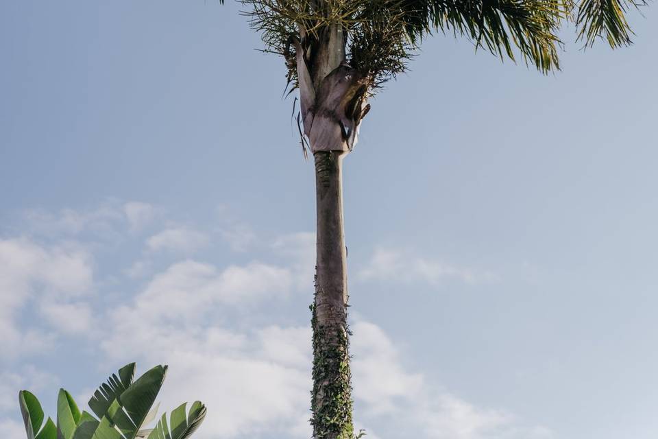 Casa Marcelle