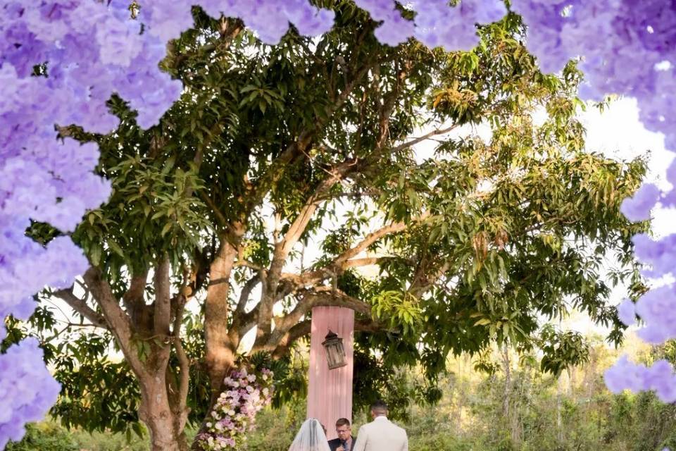 Casamento lavanda