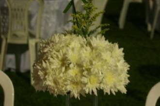 Artefloral