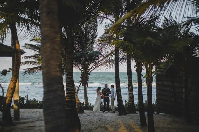 Carlos Alves - Fotografia