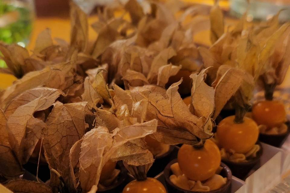 Physalis