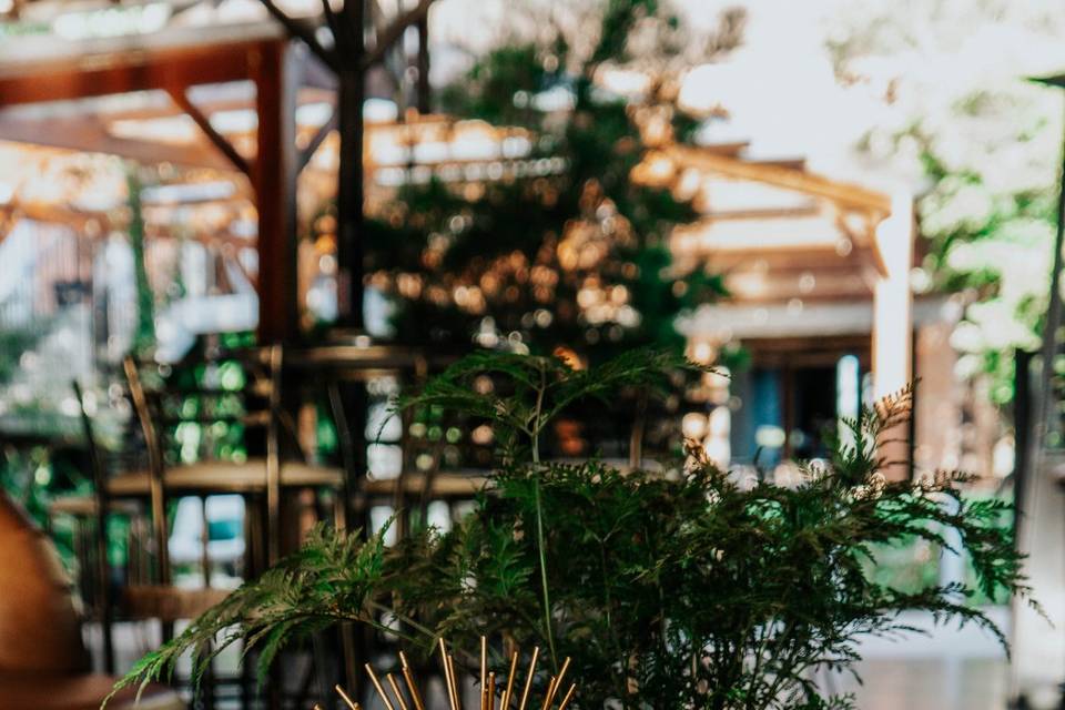 Jardine Eventos