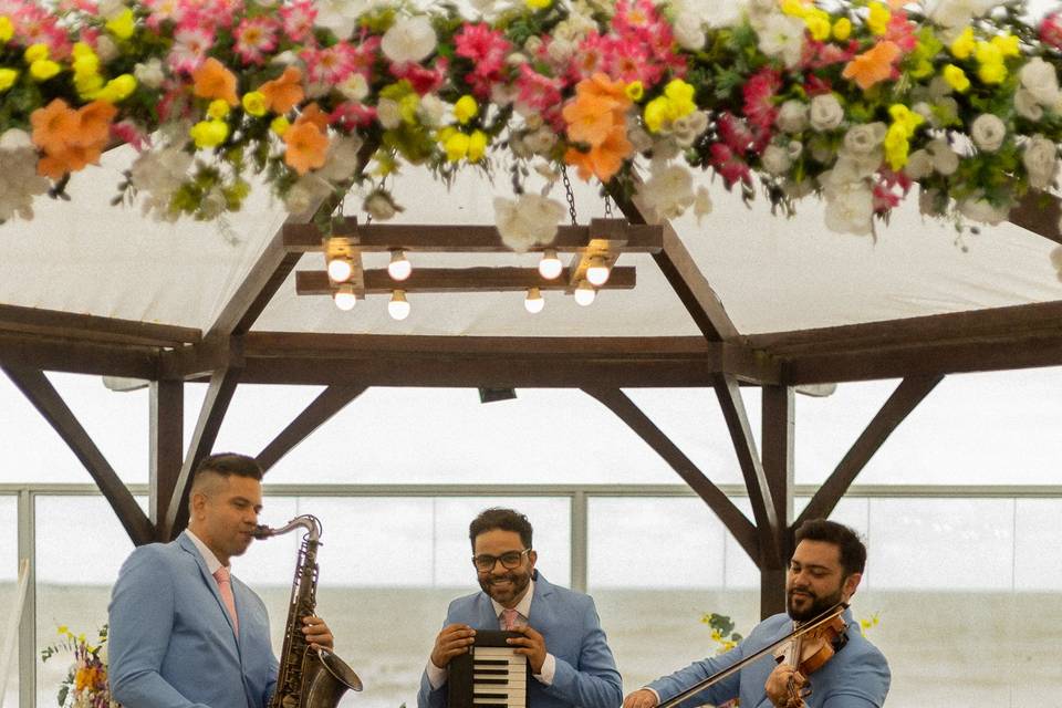 Trio Elegance em ação