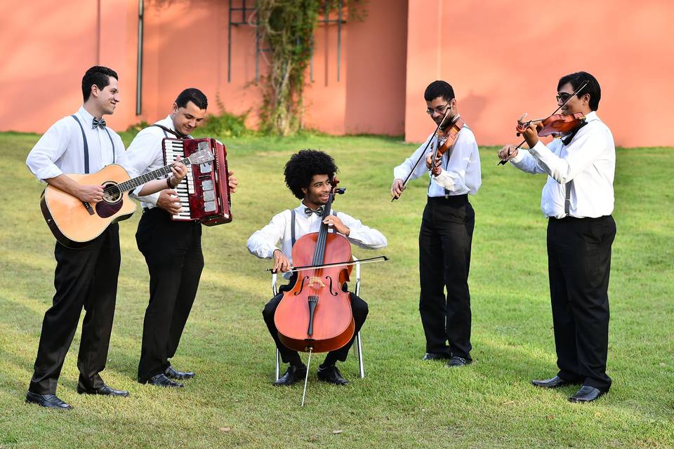 Arpeggione Musical