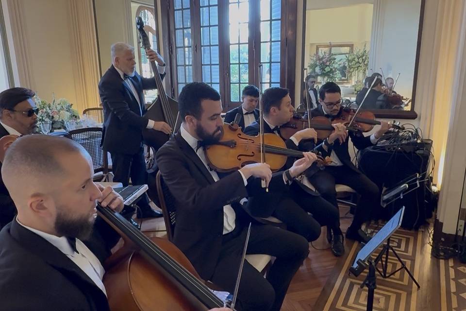 7 músicos