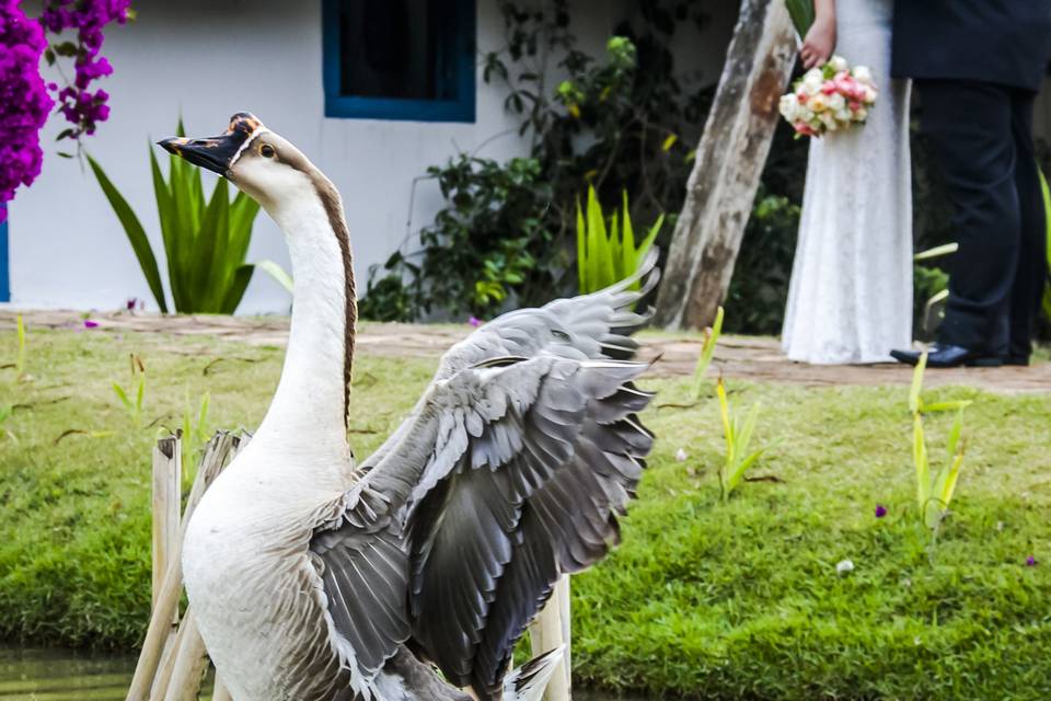 Fernanda e Luis Flávio