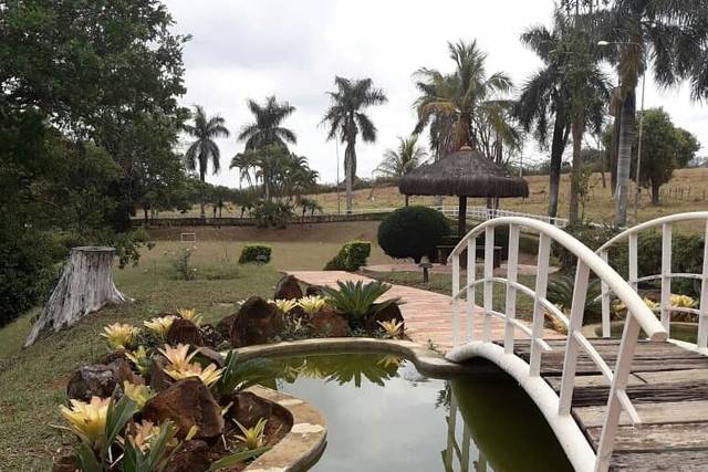 Ponte dos amores