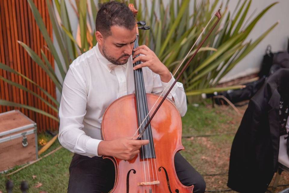 Violoncelo