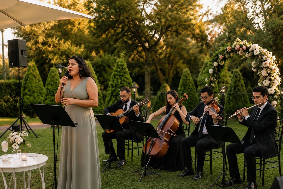 Evento casamento