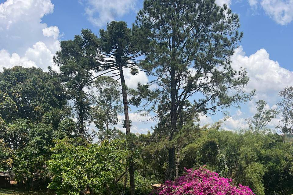 Espaço Raízes - Gramado