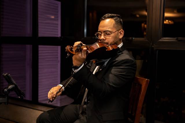 Violino