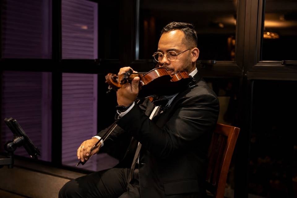 Violino