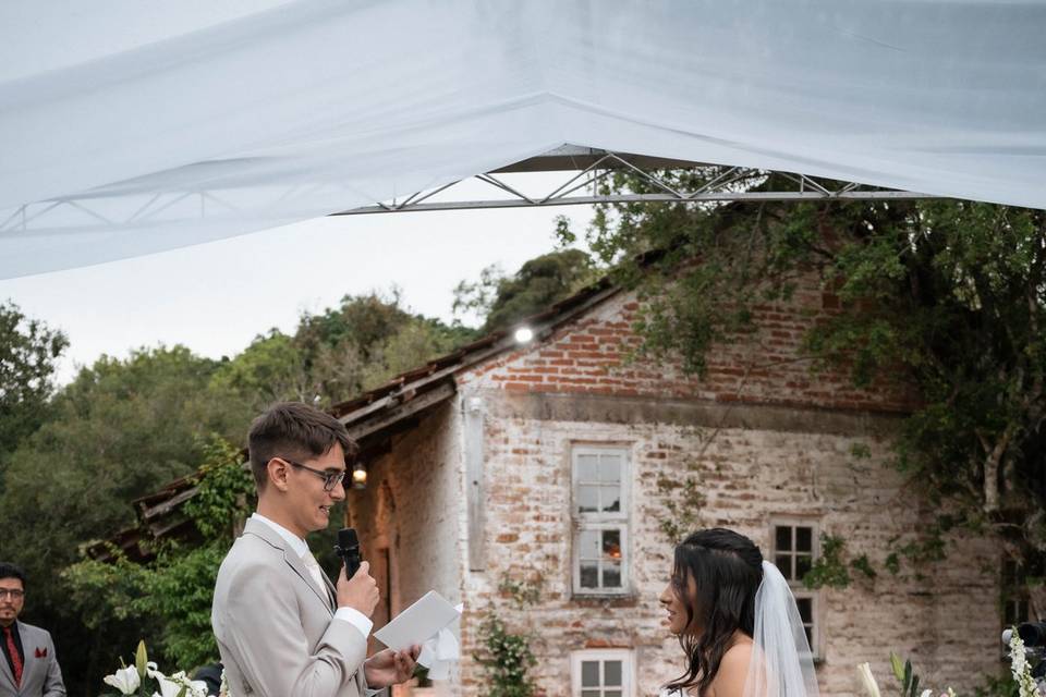Emilin e Lewi