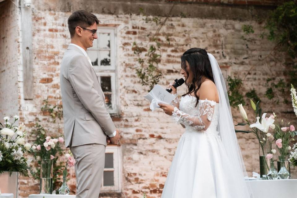 Emilin e Lewi