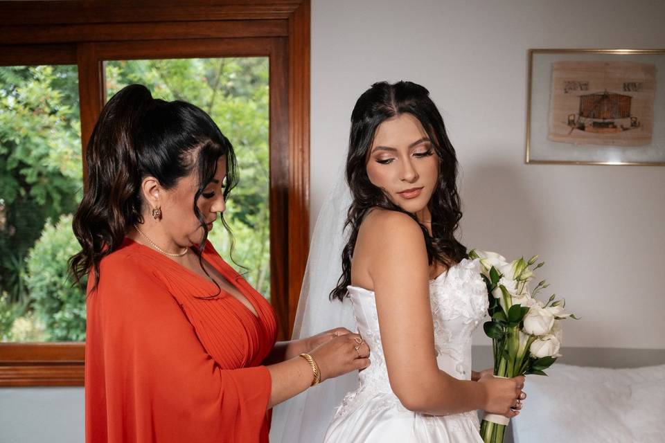 Emilin e Lewi