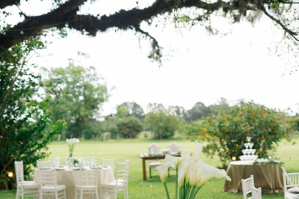 Casamento Iza e Léo