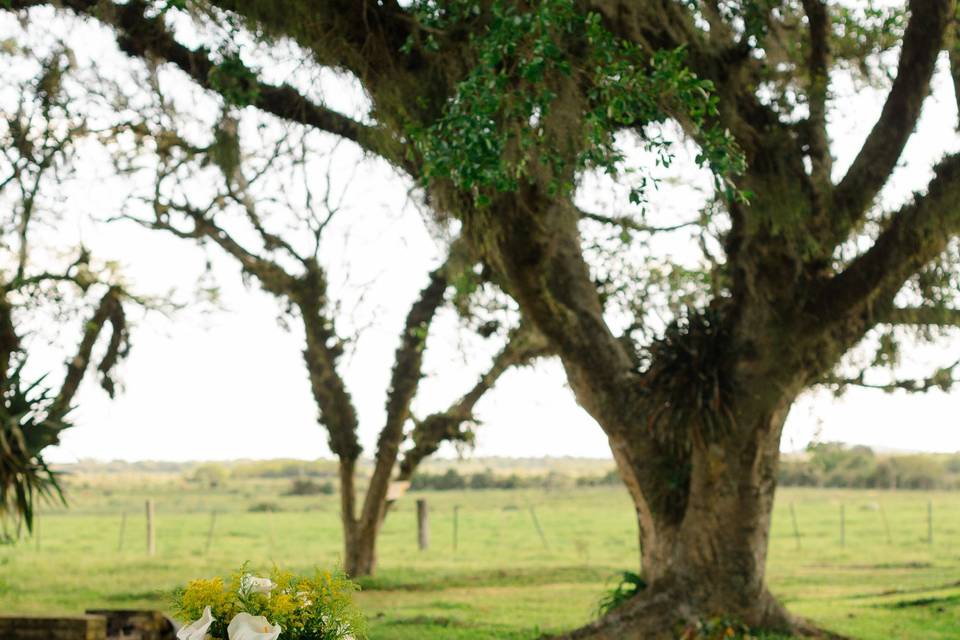 Casamento Iza e Léo