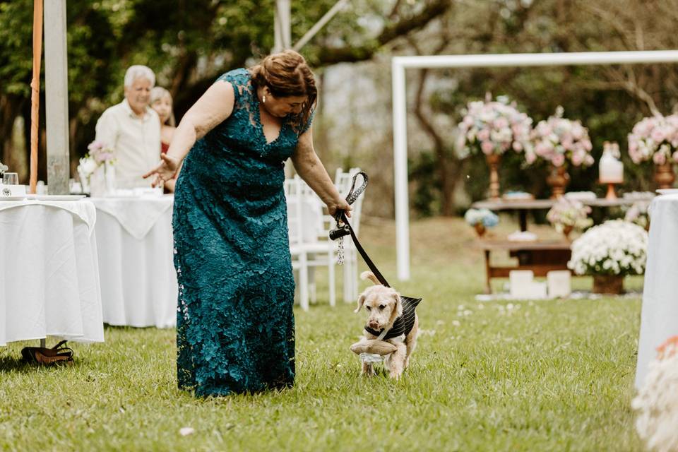 Casamento | I&D