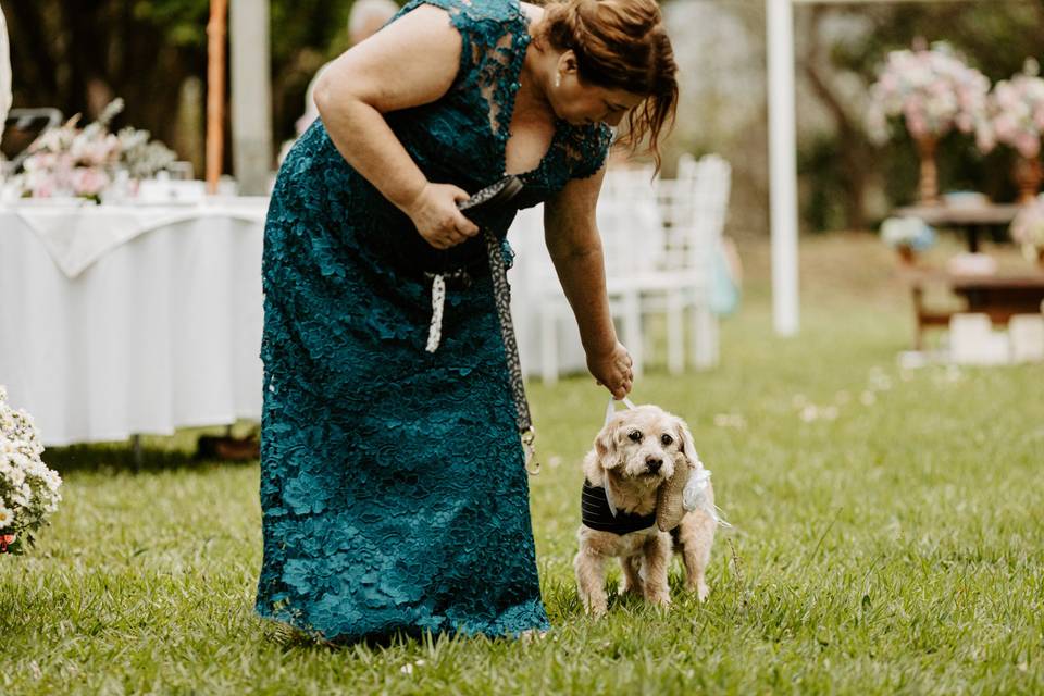 Casamento | I&D