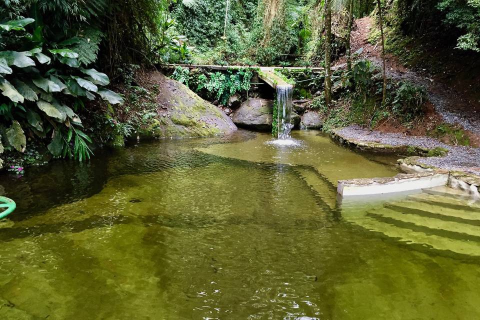 Piscina natural