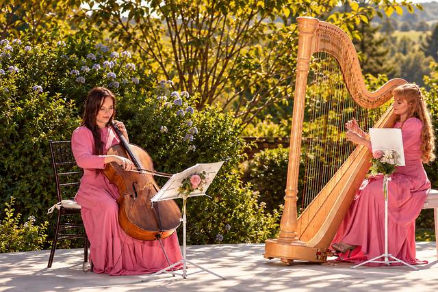 Harpa e Orquestra Merlín