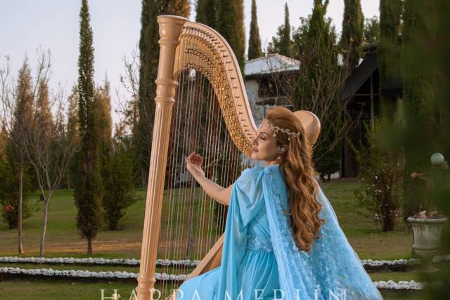 Harpa música para casamentos