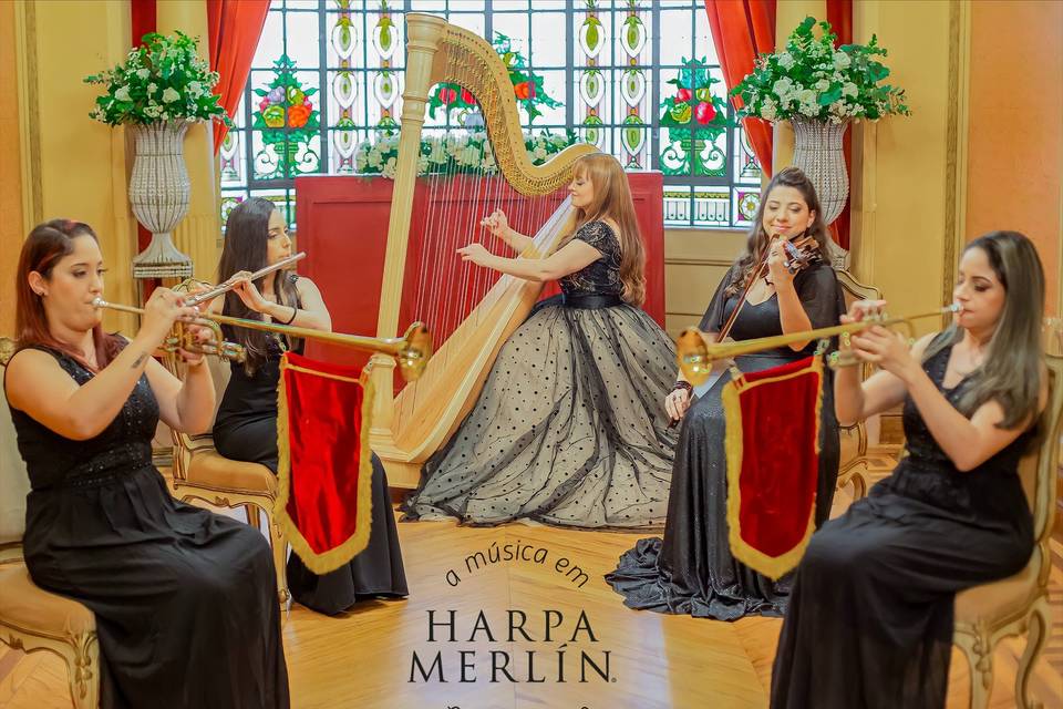 Harpa Merlin