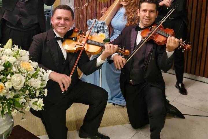 Casamento Harpa e Violinos