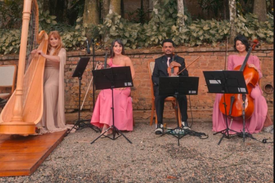 Quarteto de Cordas