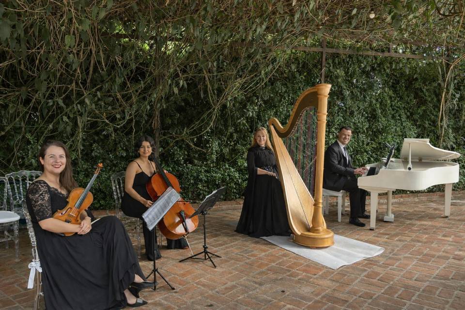 Harpa, Piano de Cauda e Cordas