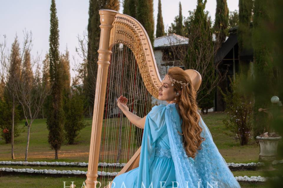 Harpa música para casamentos