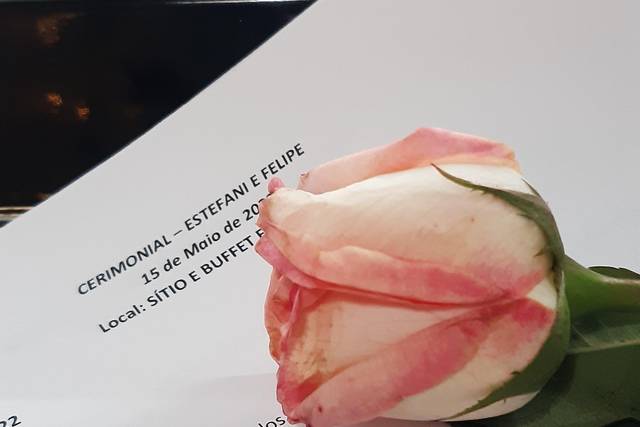 Roteiro personalizado