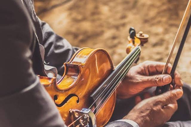 Violino